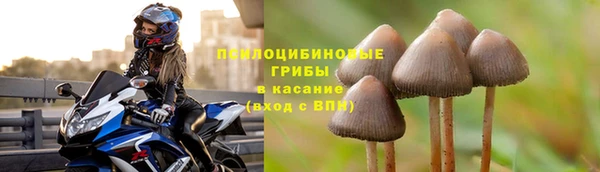 spice Новодвинск