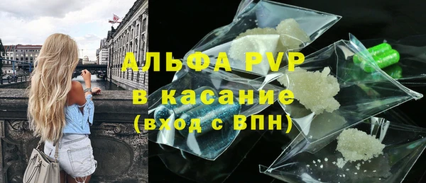spice Новодвинск