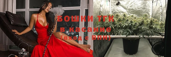spice Новодвинск
